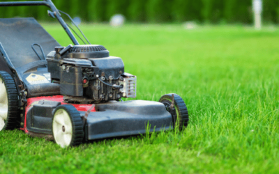 Best Cordless Lawn Mowers for Quick & Easy Lawn Care 🌱🚜🔋