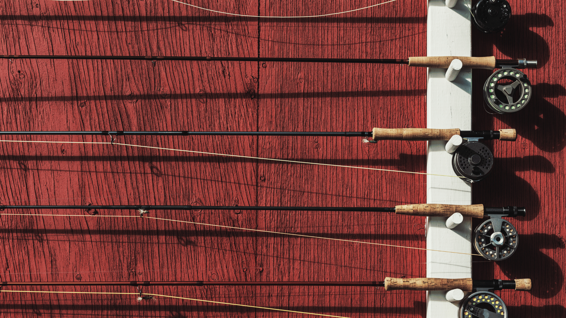 Several fly fishing rods with cork handles mounted horizontally on a red wooden wall with white trim, casting long shadows in the sunlight.
