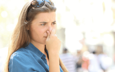 Best Toilet Odour Eliminators