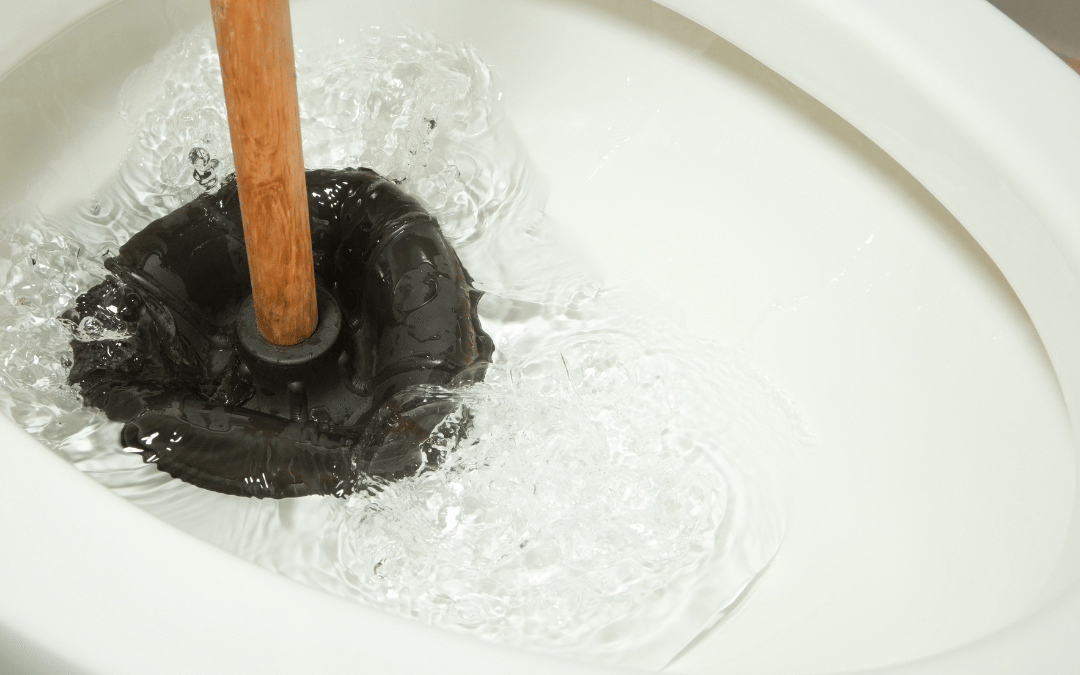 Best Toilet Plungers – Best Sellers