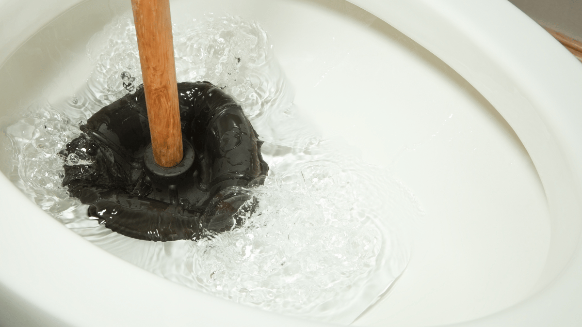 Best Toilet Plungers – Best Sellers