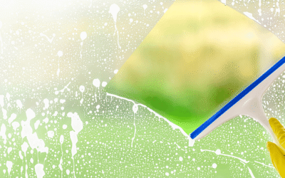 Best Shower Squeegees – Best Sellers