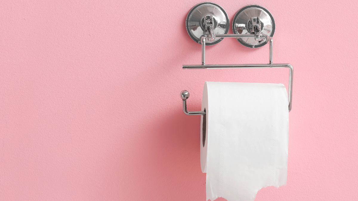Toilet Paper Holder