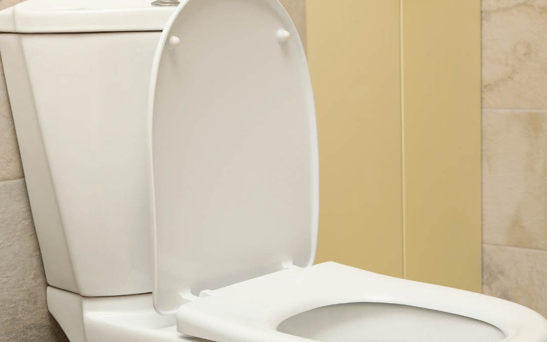 Best Toilet Seat Cushions – Best Sellers