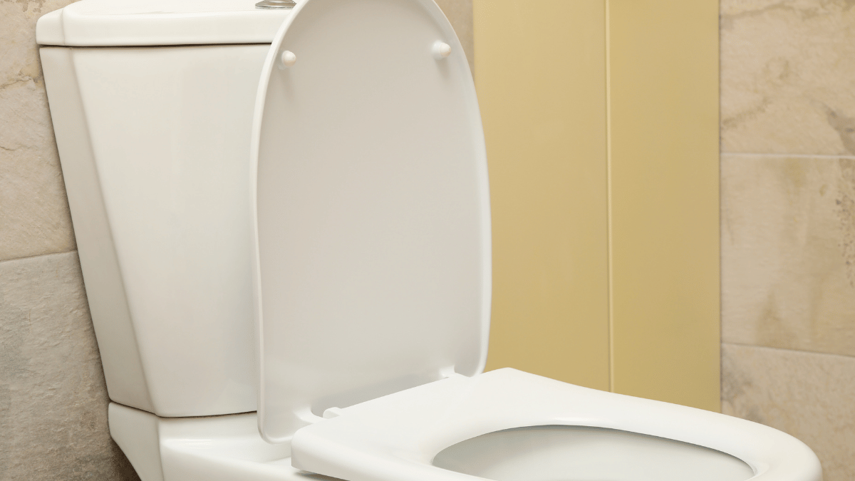 Toilet Seat Cushions
