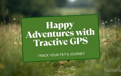 Tractive GPS Dog Tracker Review 2026: Is the Subscription-Based Tracker Worth It?