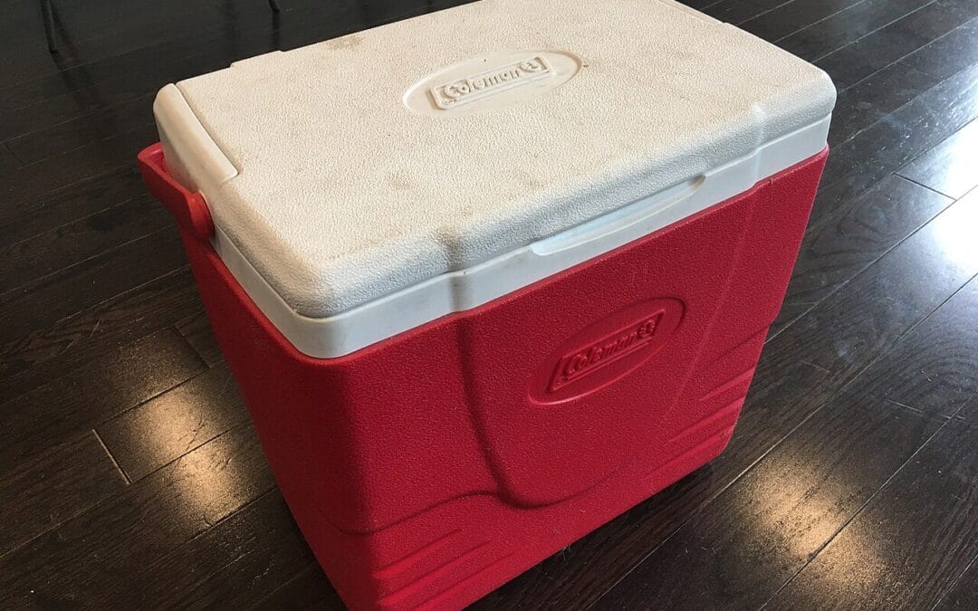 Best cool boxes and electric coolboxes, UK 2026
