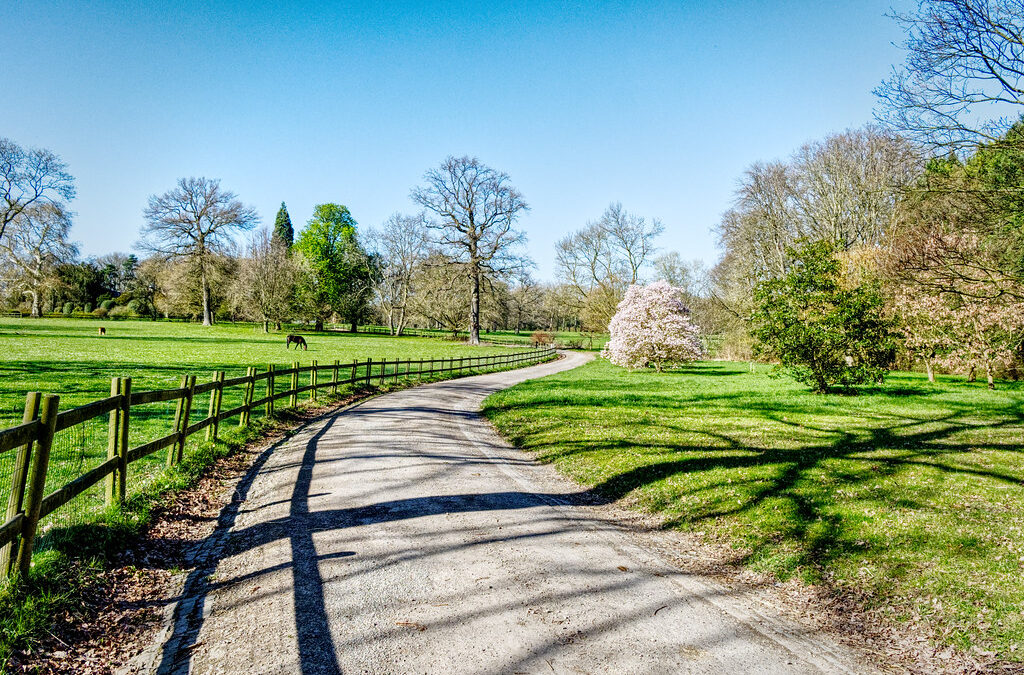 driveway