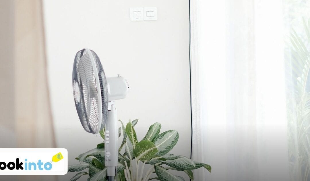 Standing fan cooling a bright modern living room