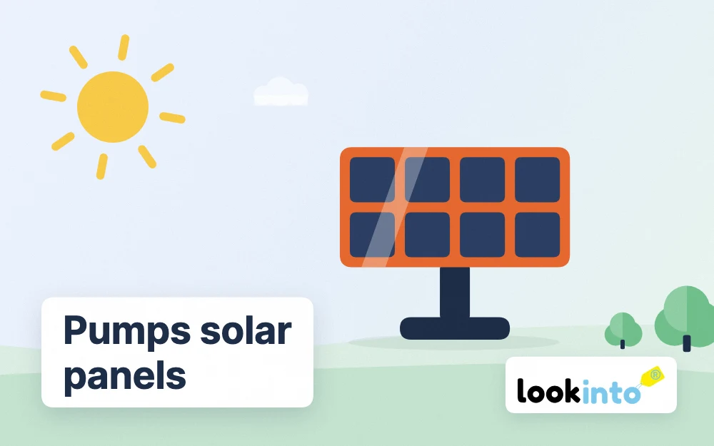 Heat Pumps vs Solar Panels UK 2026: Costs, Savings and Which to Install First