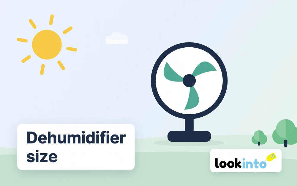 What size dehumidifier do I need? A UK capacity guide