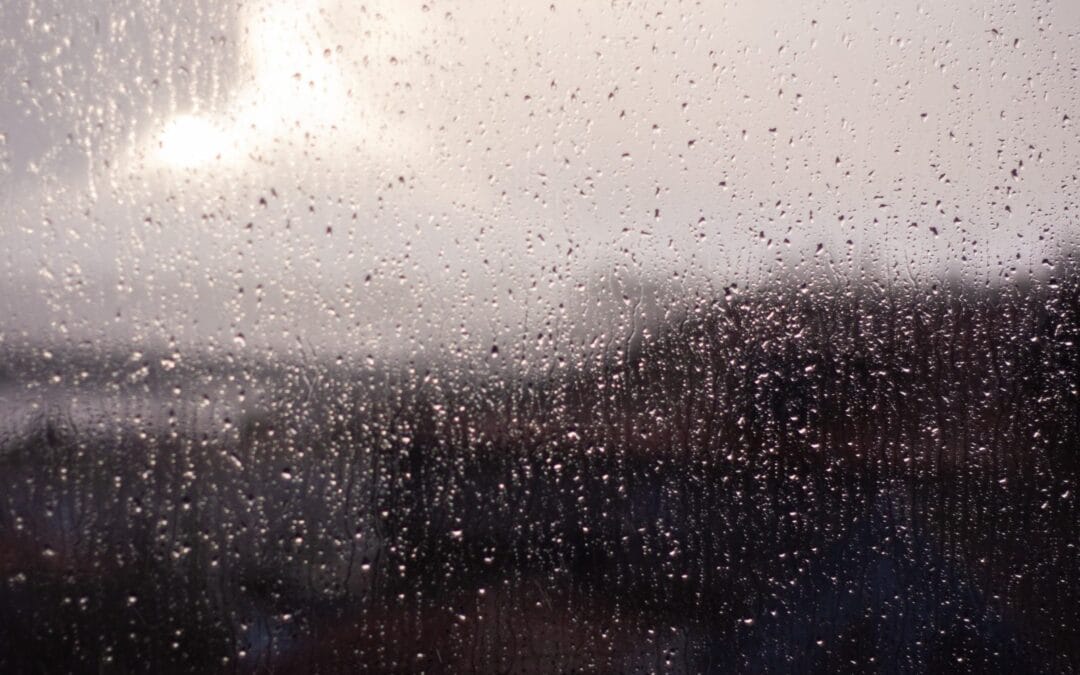 Water beaded on the inside of a window pane