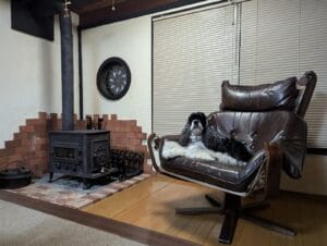 Help With Energy Bills This Winter: 10 UK Schemes and What Each One Buys at the Price Cap