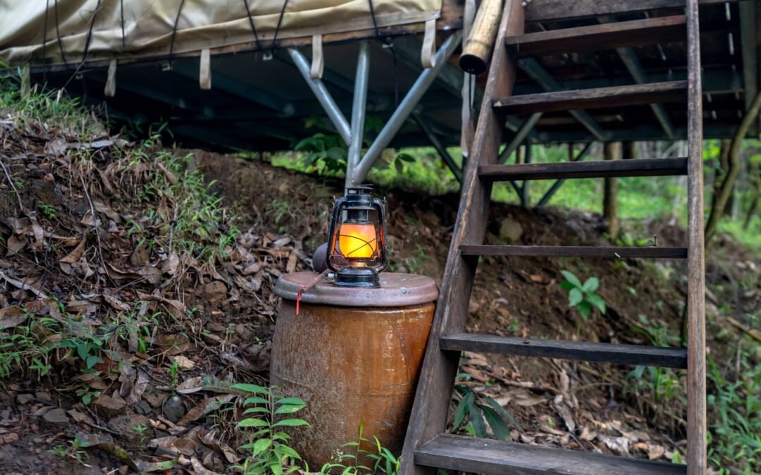 Lantern glowing on a stump beside wooden steps