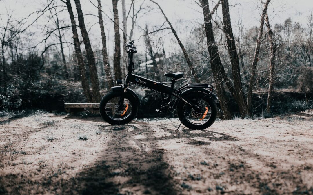 A fat-tyre electric bike standing on a woodland path