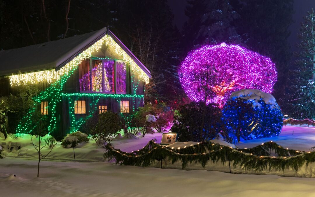 A snow-covered yard at night with a house wrapped in colorful Christmas lights and lit bushes/crafts along a path.