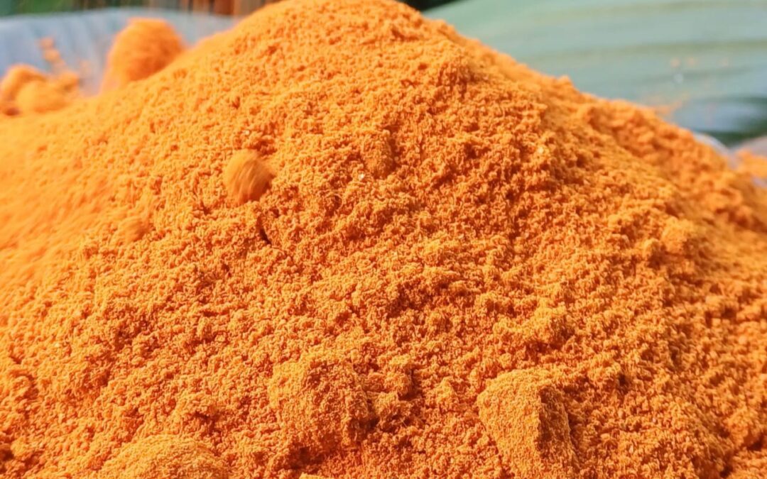 A mound of bright orange turmeric powder, the raw material behind curcumin supplements